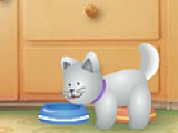 Net Pet