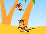 Crazy Monkeys