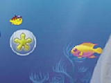 Growing fish
