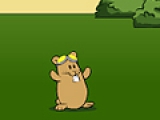 Hamster Flight