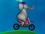 Слон на мотоцикле