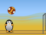 Пингвины играют в волейбол