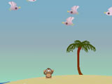 История чайки