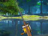 Рыбалка на лесном озере