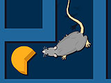 Лабораторная крыса: поиски сыра