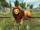 Охота на львов 3Д